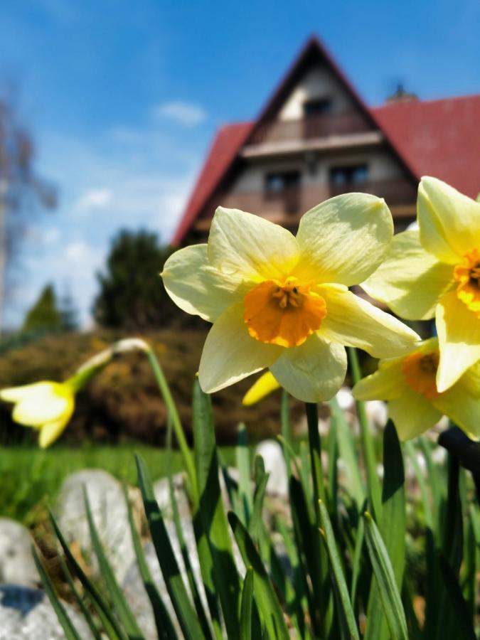 Hotel Dom na Brzyzku Poronin Zewnętrze zdjęcie